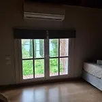 Palmyra 3*