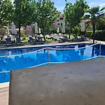 Palmyra 3* Nidhrion
